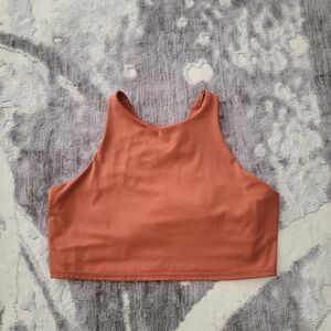 Stylish Women's Crop Top in Rust Sizr L With Bra Attached